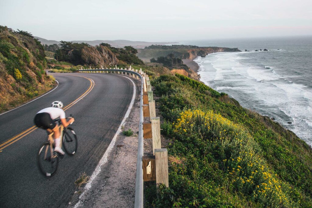 Scenic Cycling on the Central Coast: Wildflowers